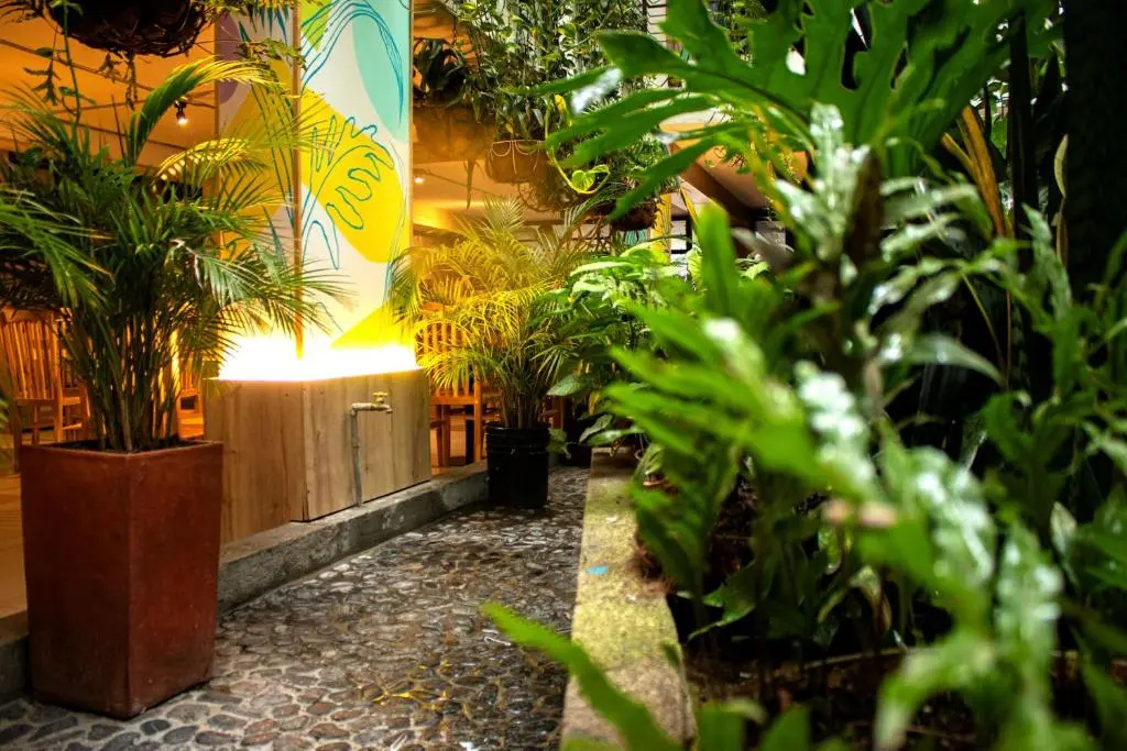 Foto - Hotel Natural