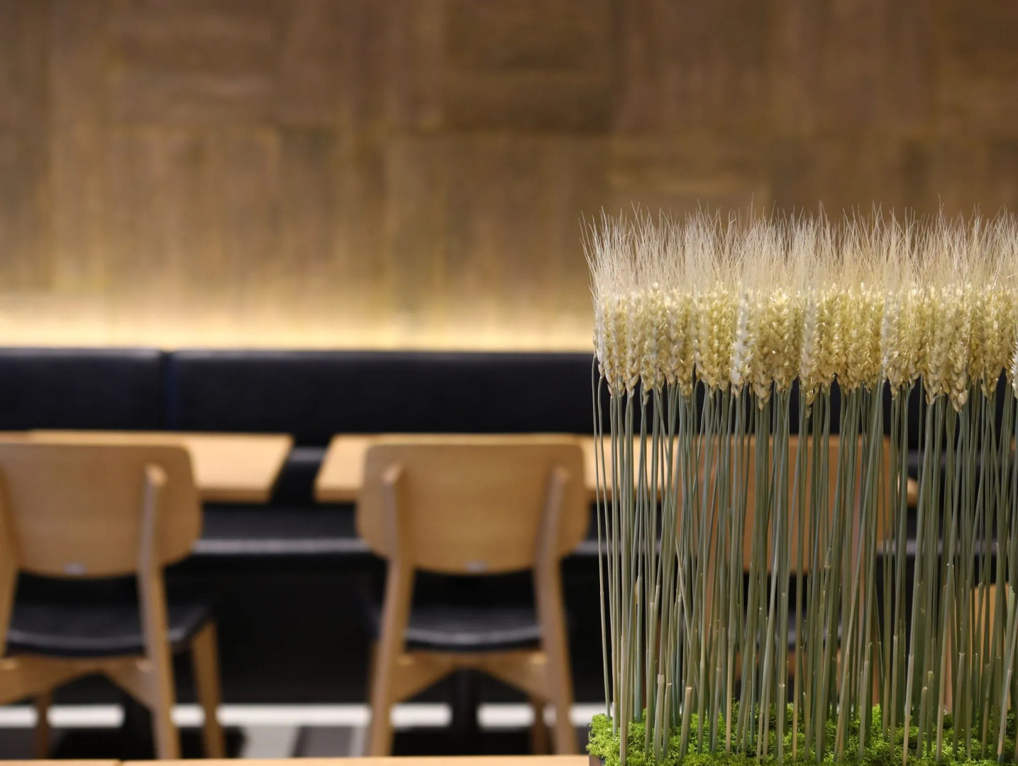 Foto - RIHGA Place Kyoto Shijo Karasuma