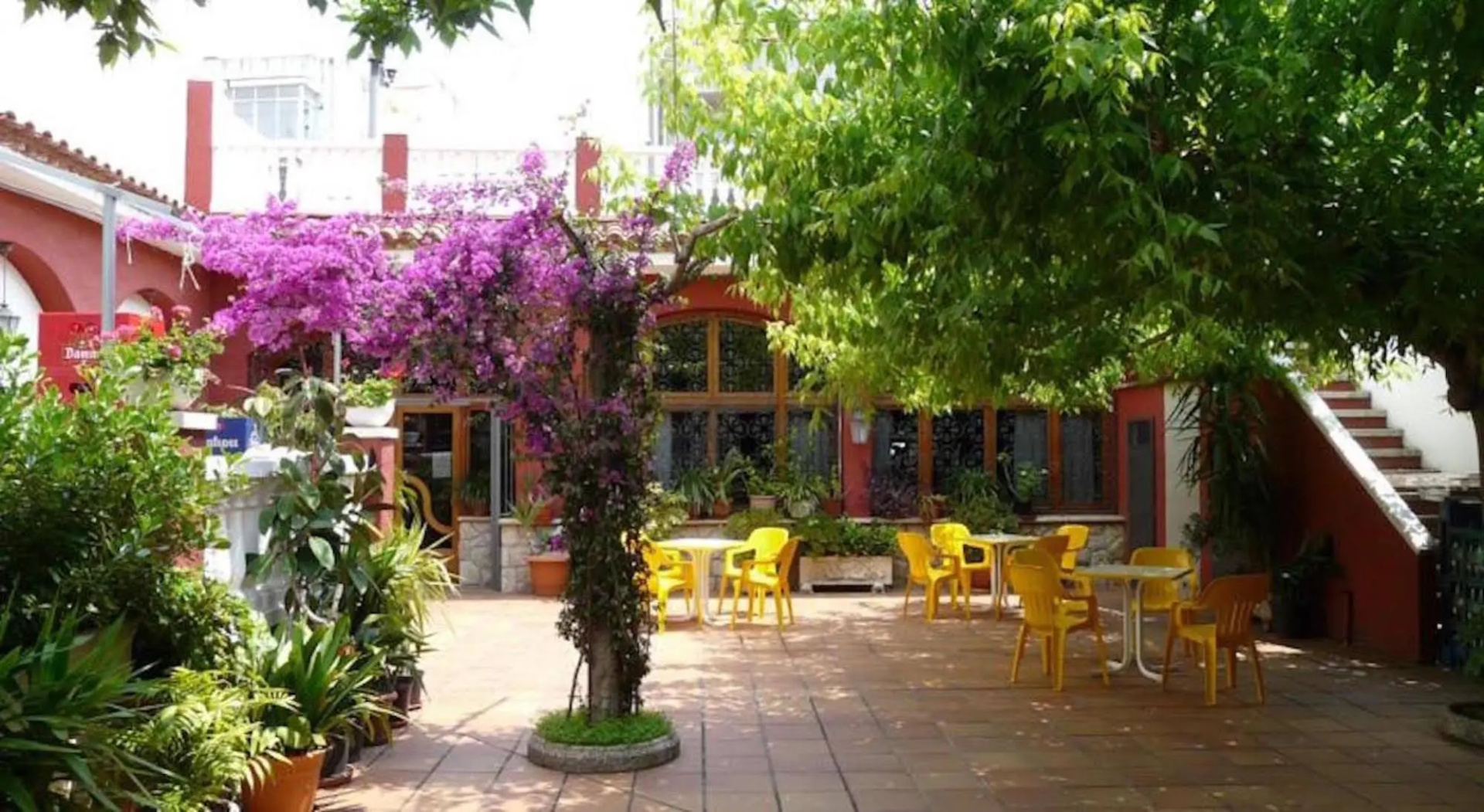 Photo - Hotel Avenida El Morell