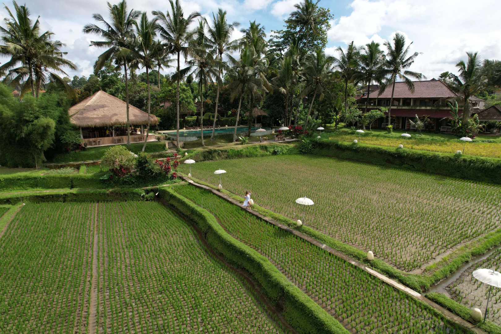 Foto - MATHIS Retreat Ubud