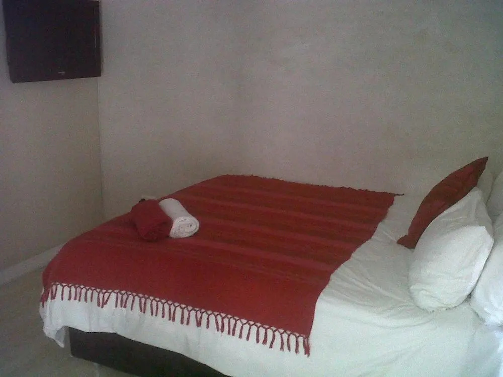 Photo - Kings in Cape Hotel