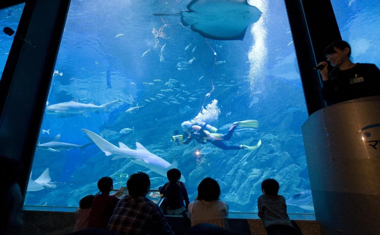 Foto - Hotel Eclair Hakata