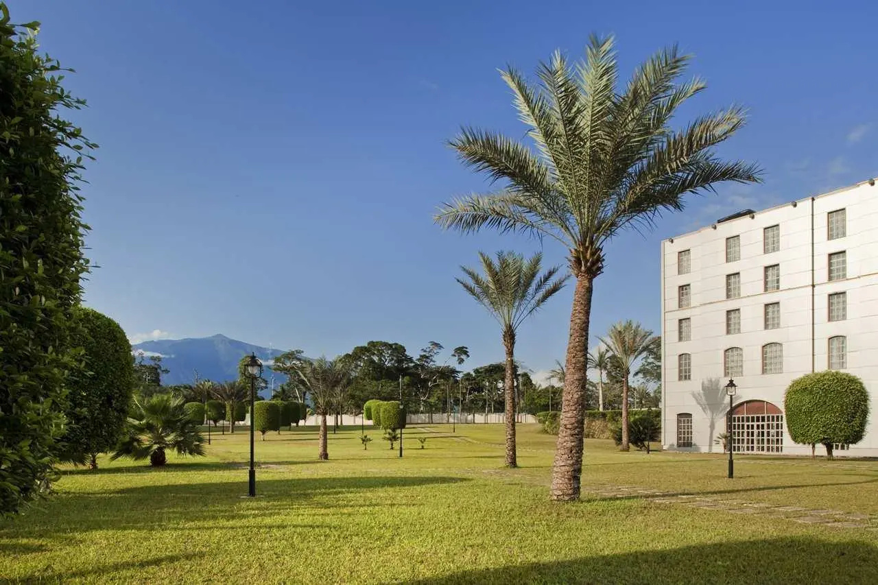 Foto - Bisila Palace
