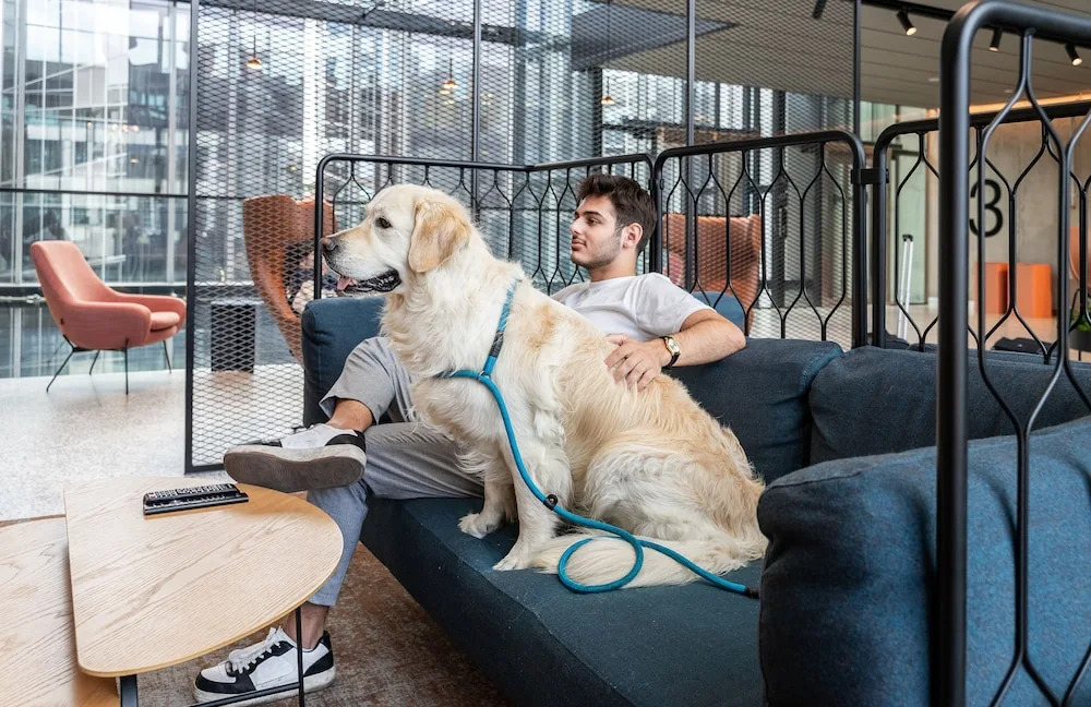 Foto - Citybox Tallinn City Center