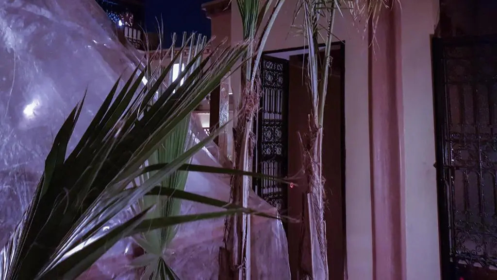 Photo - Riad Gallery 49 & Spa