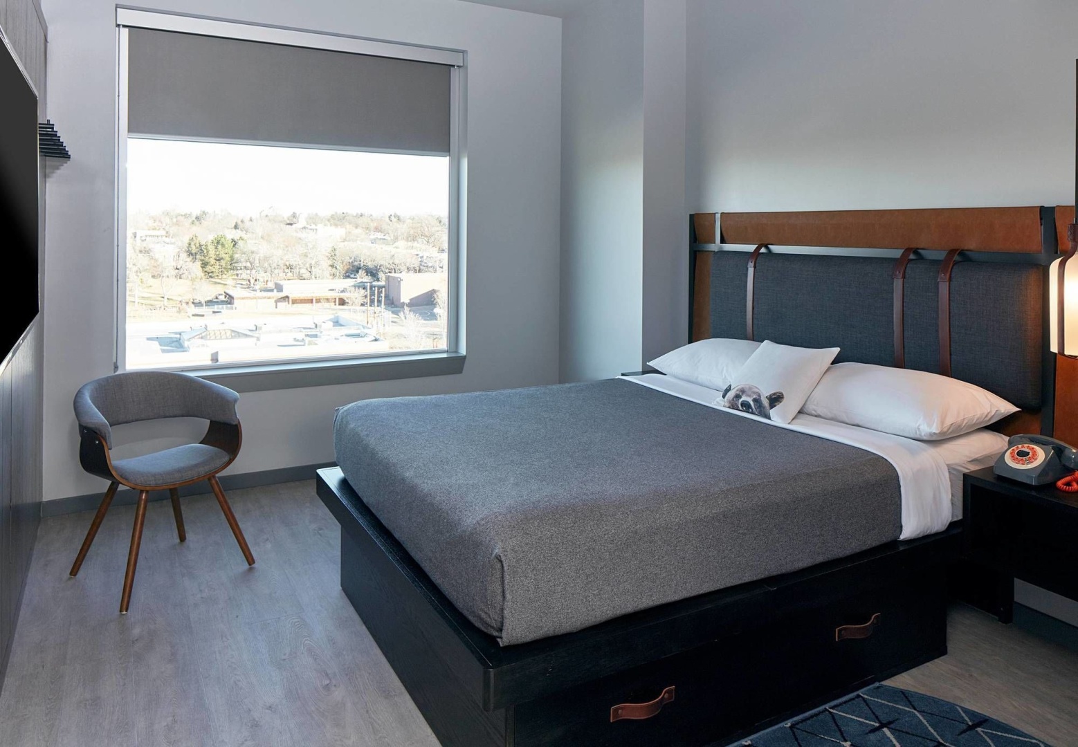Foto - Moxy Denver Cherry Creek