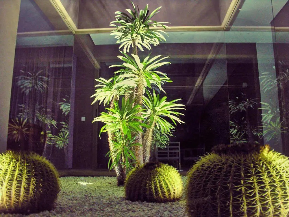 Photo - Villa Jardins D'Isa