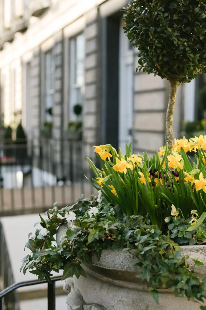 Photo - Nira Caledonia