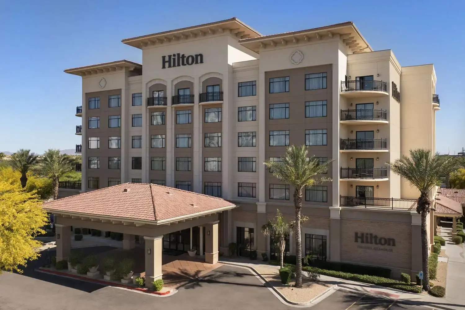 Photo - Hilton Phoenix Chandler