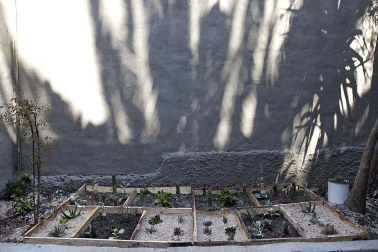 Foto - THE BIG - Luxury Backpackers