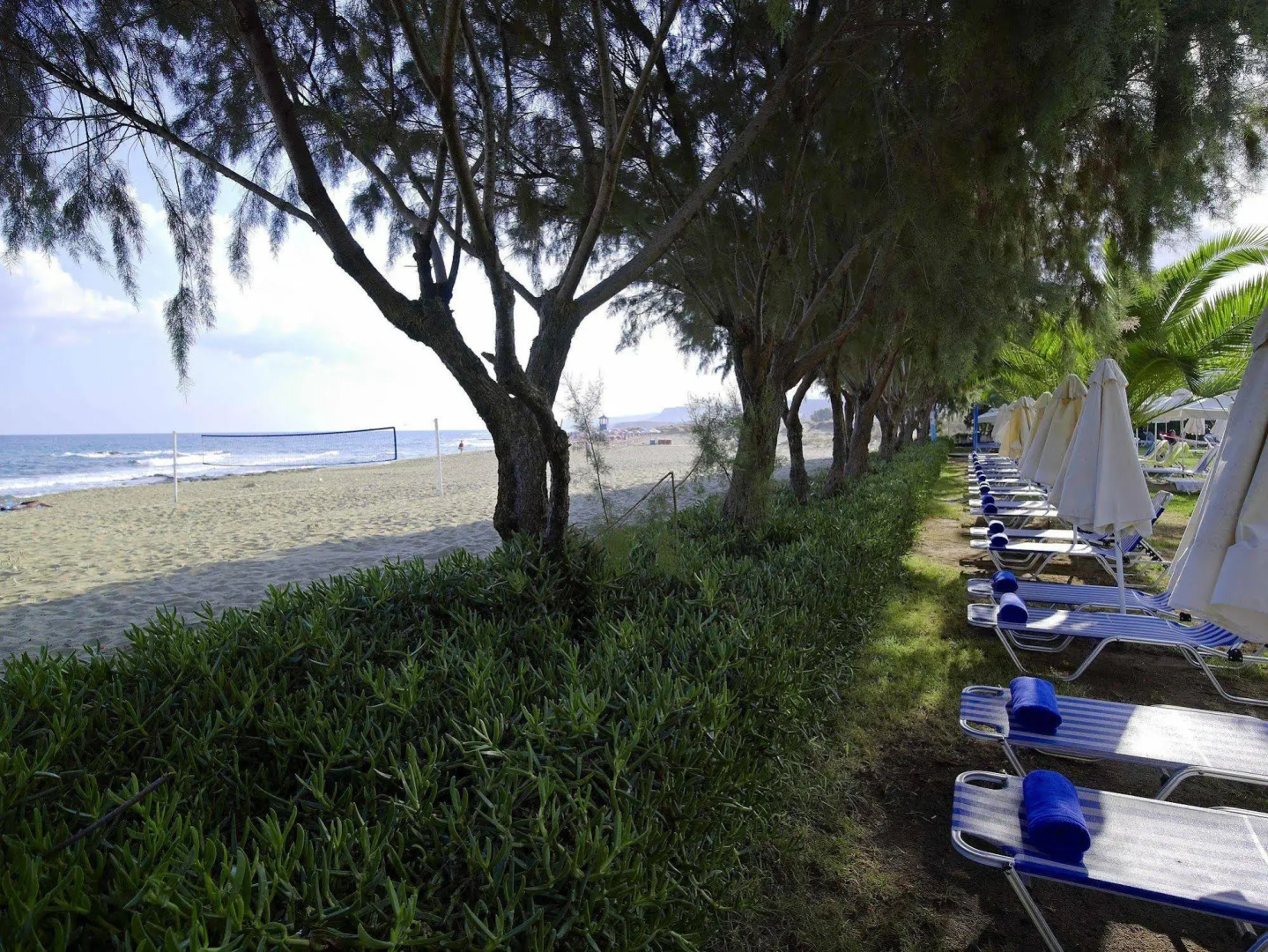 Photo - Malia Bay Beach Hotel & Bungalows
