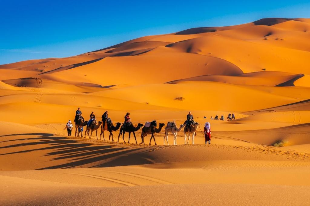 Desert Heart Luxury Camp
