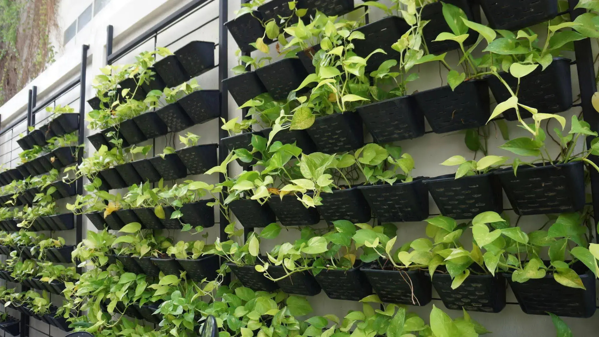 Foto - So good Hotel Bangkok