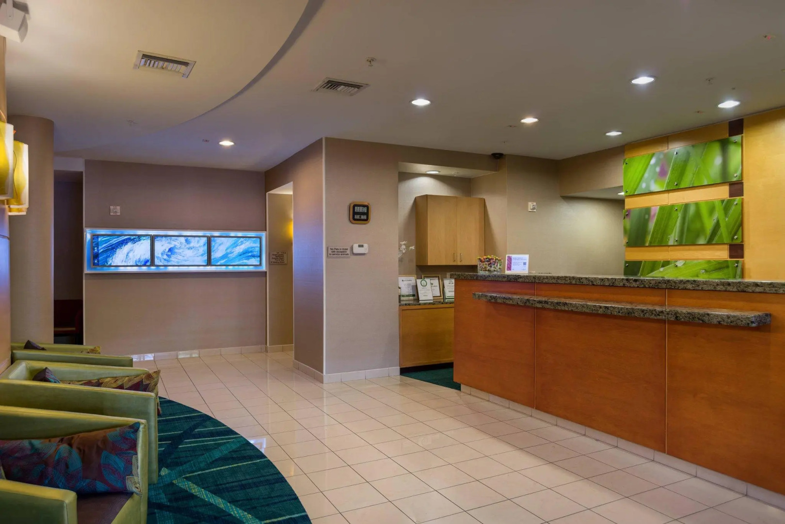 Foto - SpringHill Suites St Petersburg Clearwater