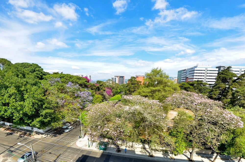 Foto - Hotel Santander Plaza