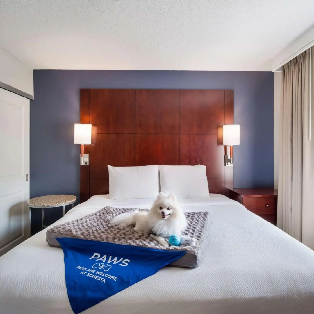 Foto - Sonesta ES Suites Huntington Beach Fountain Valley