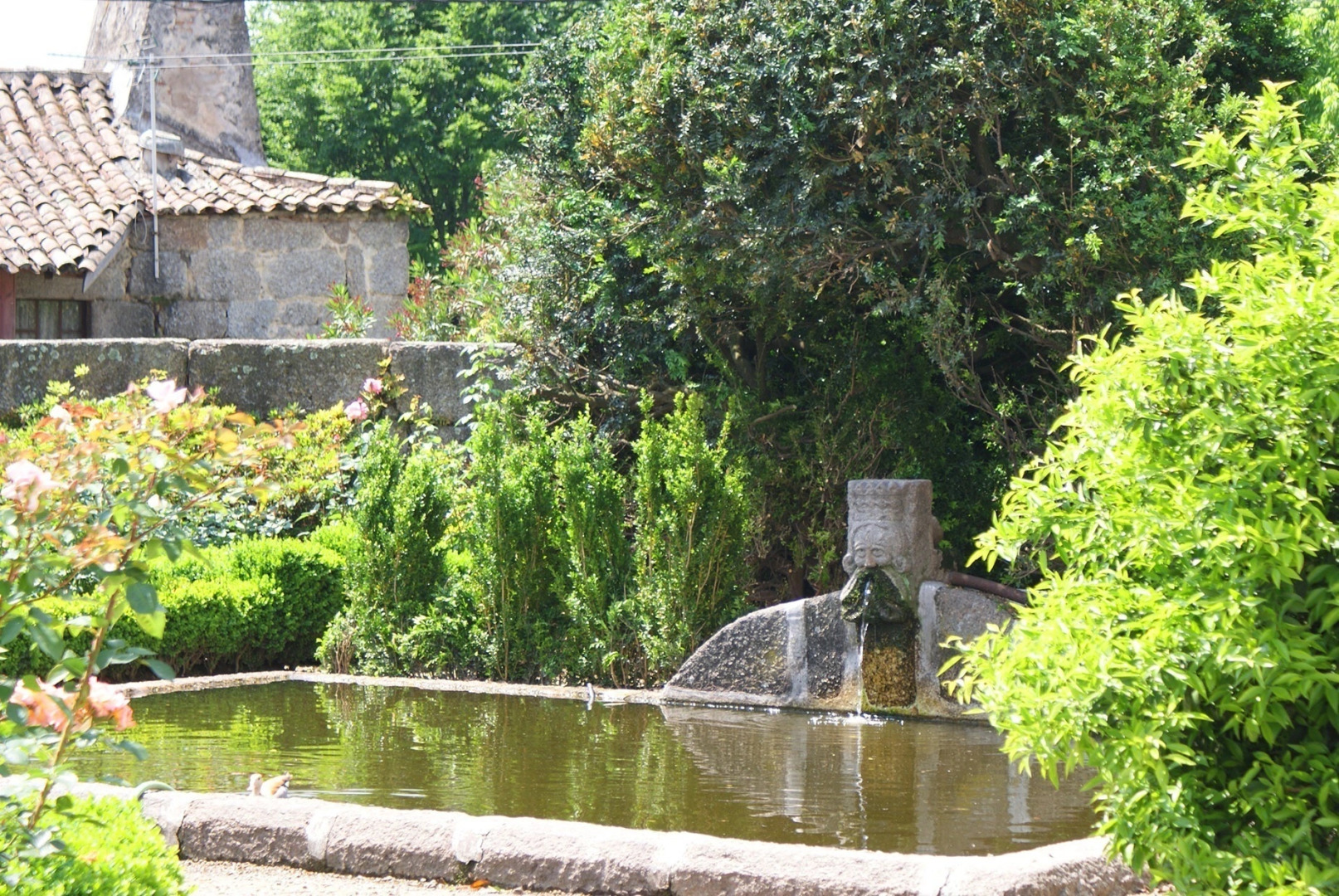 Photo - Casa Dos Pombais