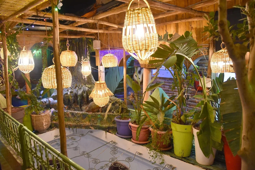 Photo - Riad Verus - Hostel - Adults Only