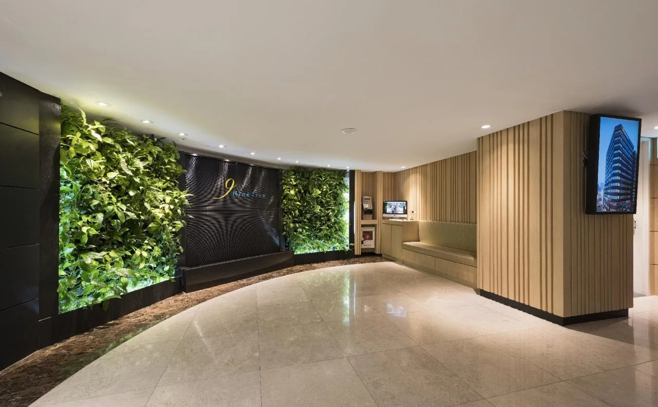 Foto - Nine Tree by Parnas Seoul Myeongdong 1