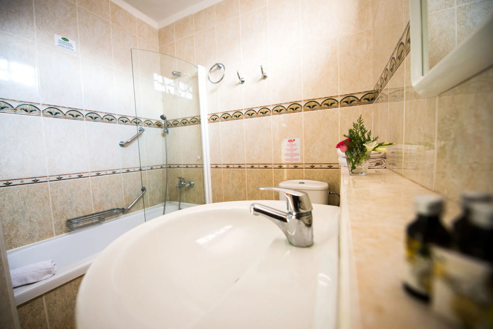 Foto - Ona Las Rosas