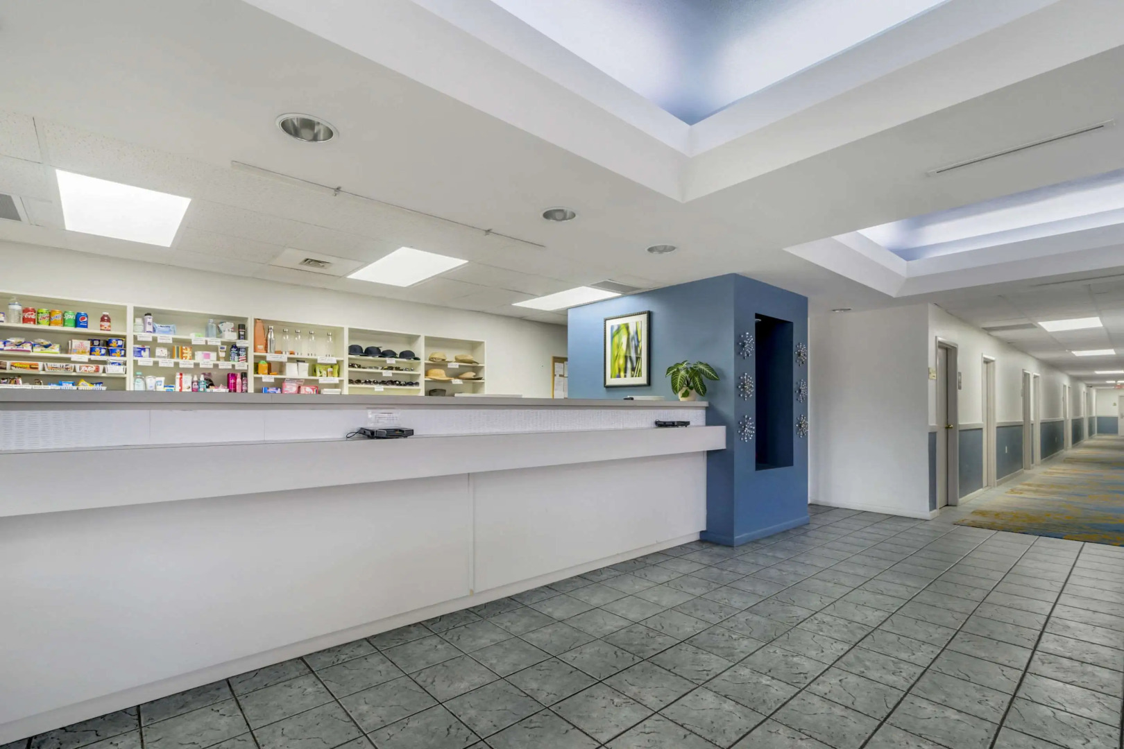 Foto - Rodeway Inn Wesley Chapel