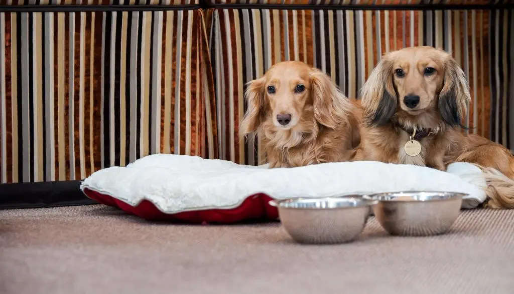 Photo - Hotel d'Angleterre