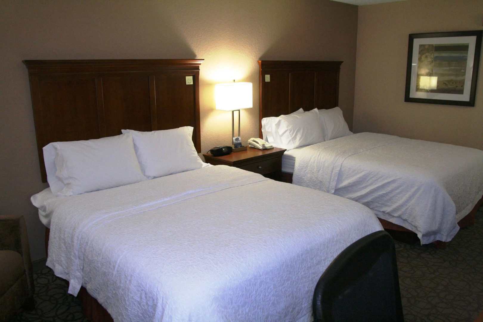 Foto - Hampton Inn Gainesville