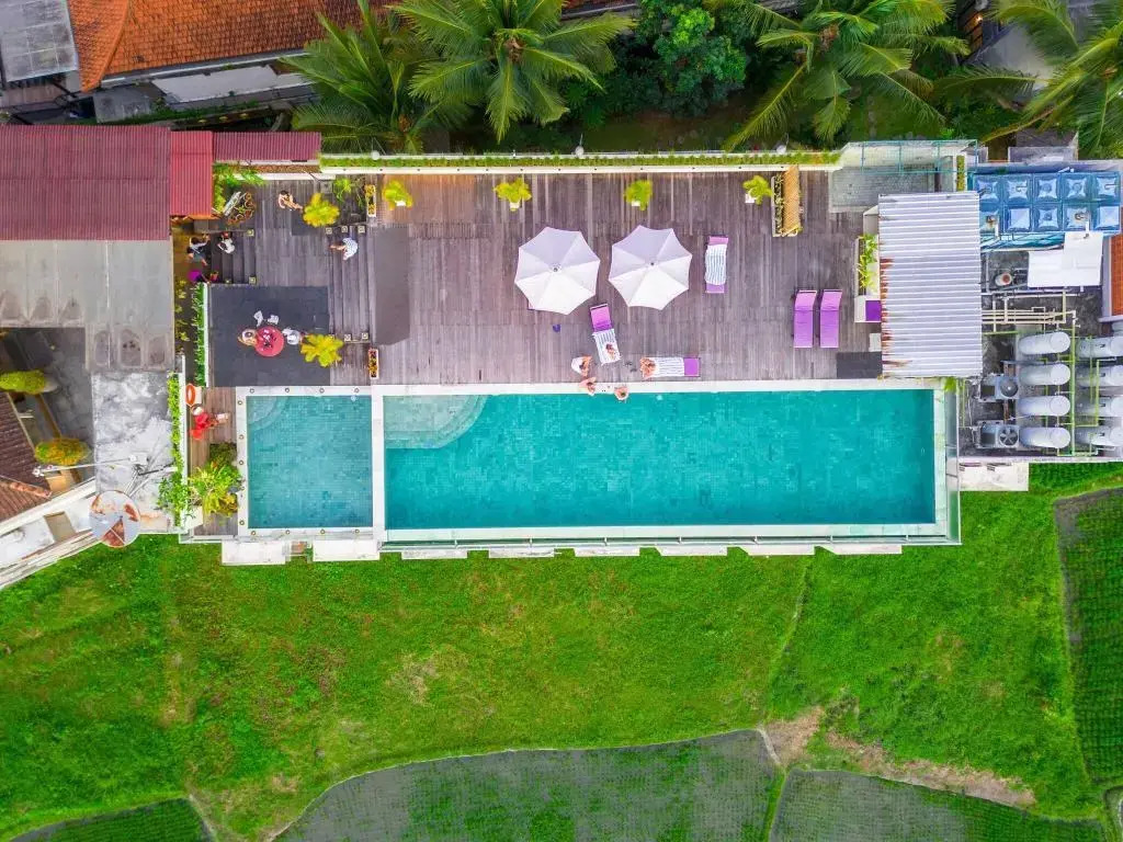 Foto - The Evitel Resort Ubud
