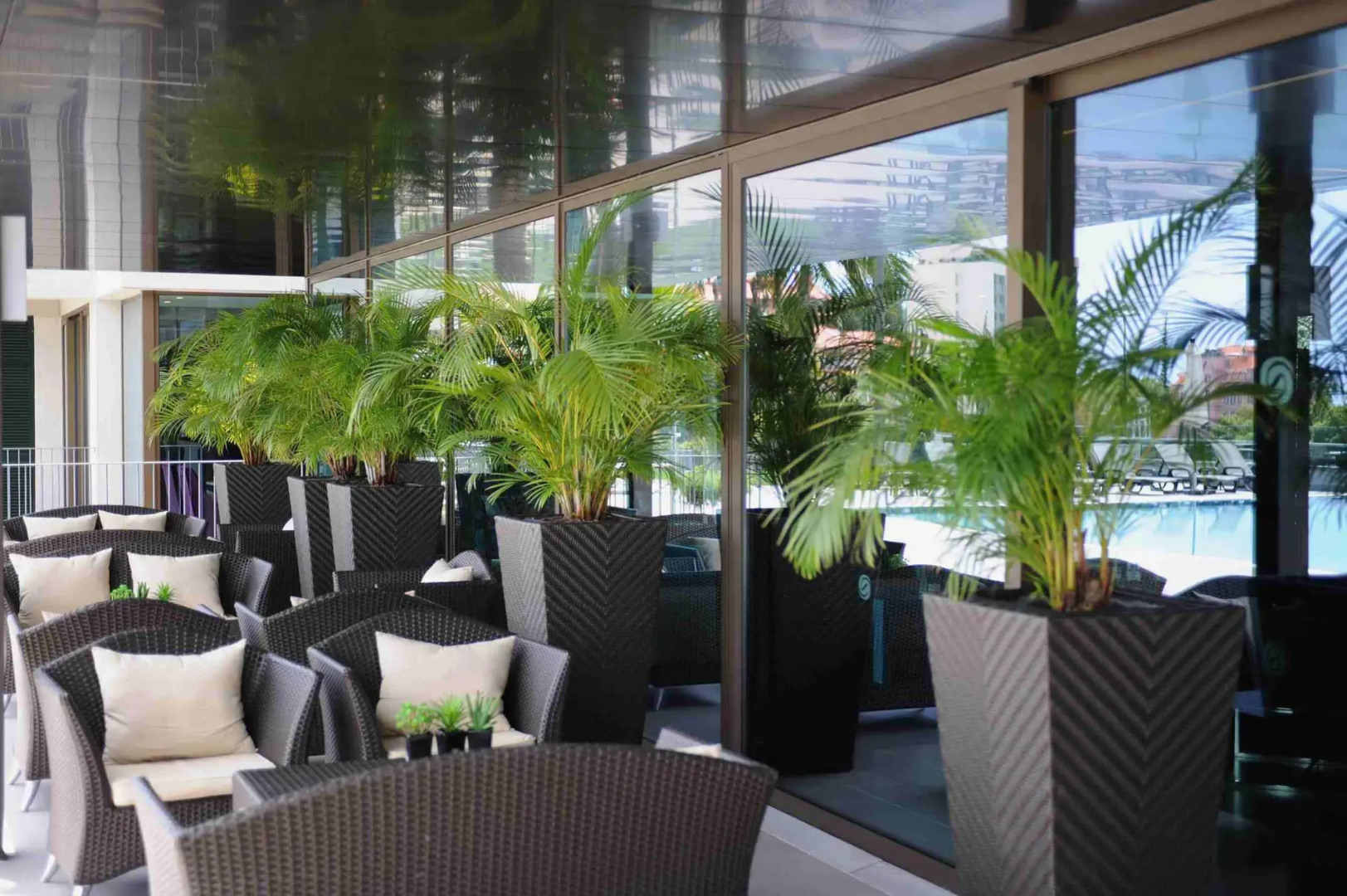 Foto - Enotel Magnólia