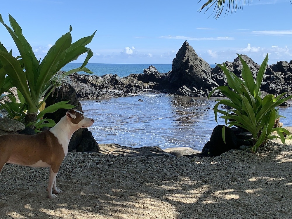 Le Rocher de Tahiti