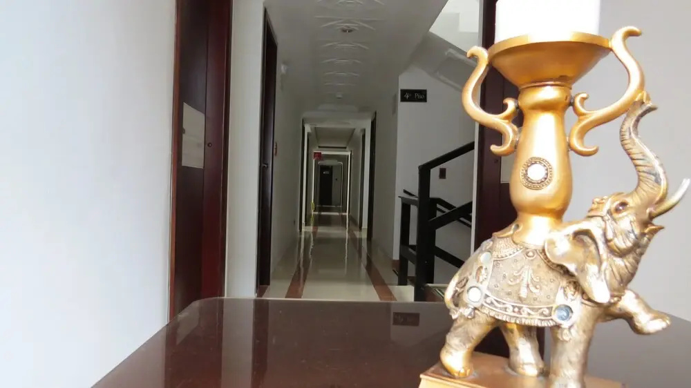 Photo - Hotel Zulita