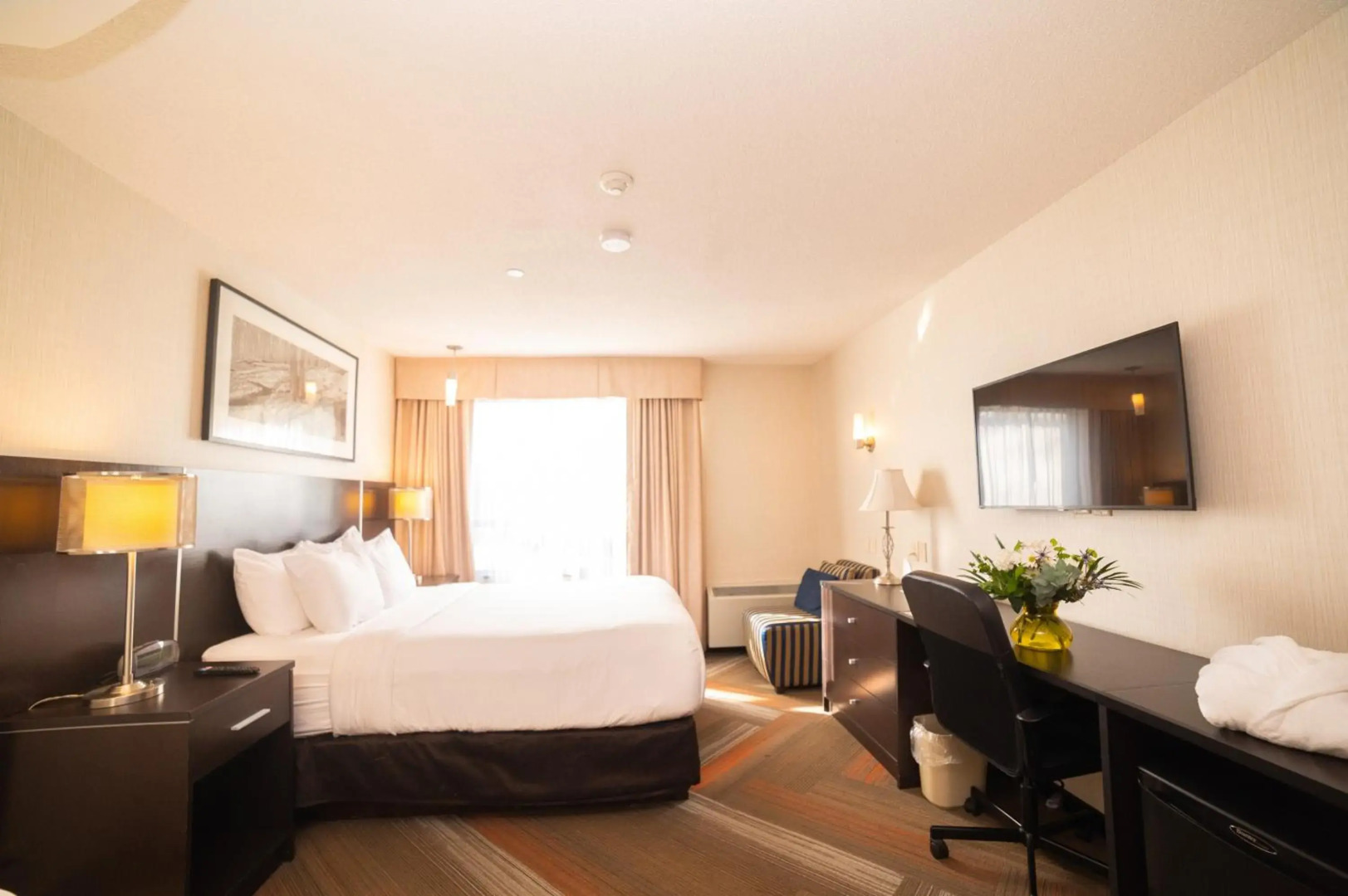 Foto - Quality Hotel