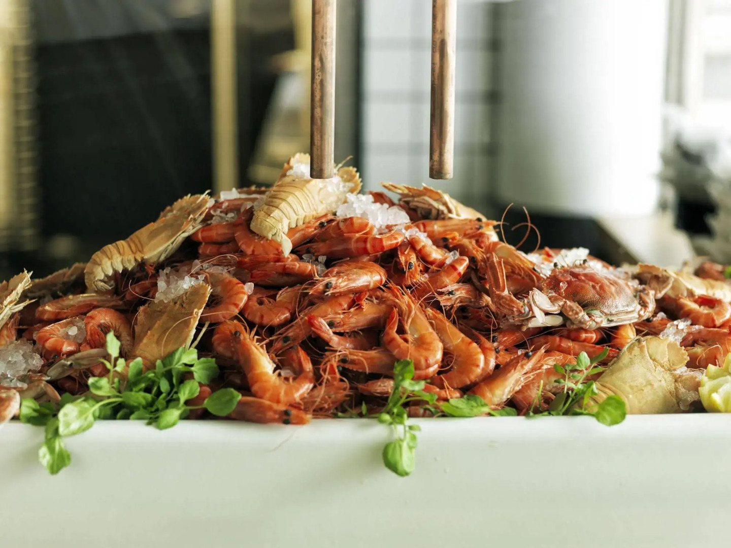 Foto - Watsons Bay Boutique Hotel