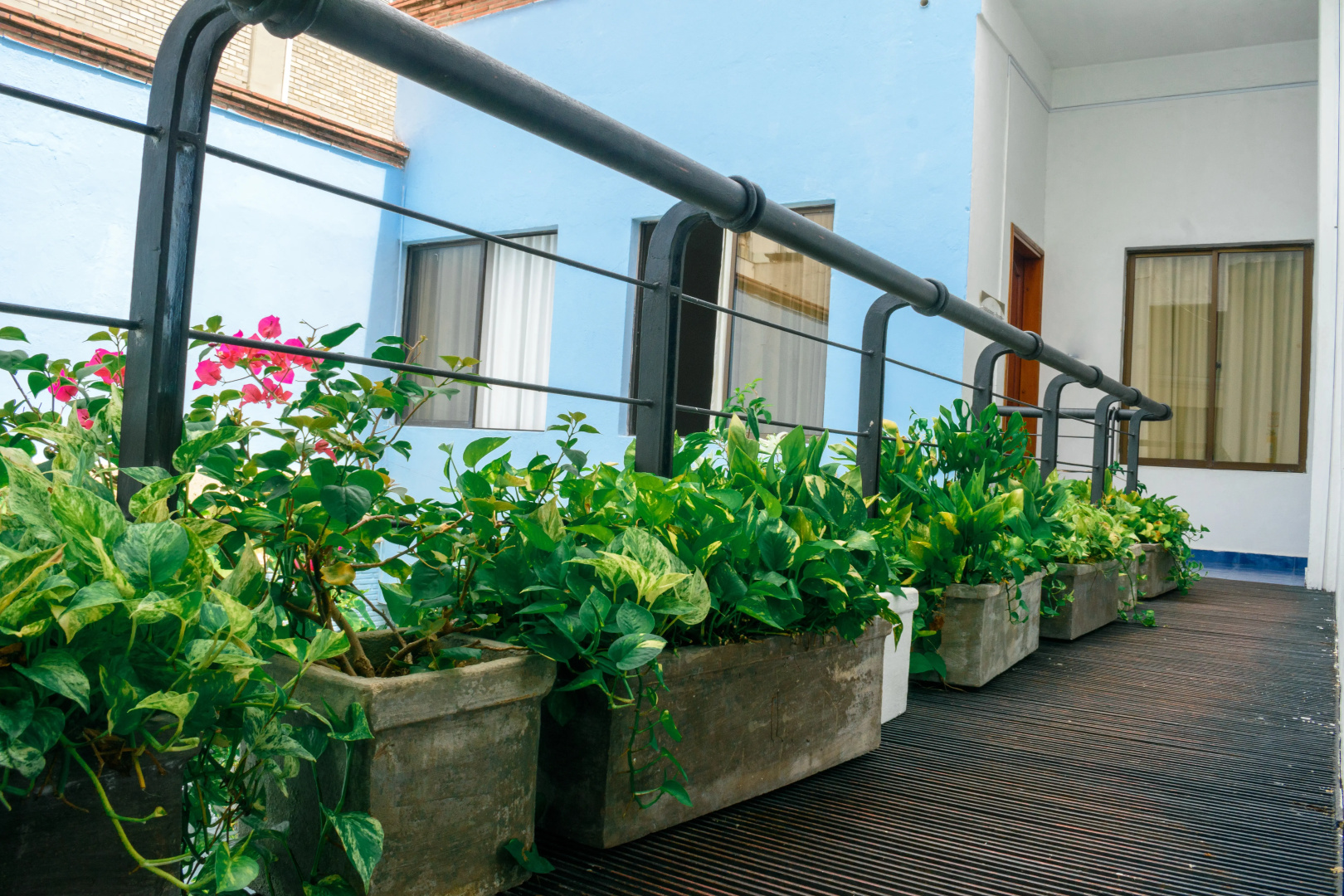 Photo - Hotel Virrey Cartagena