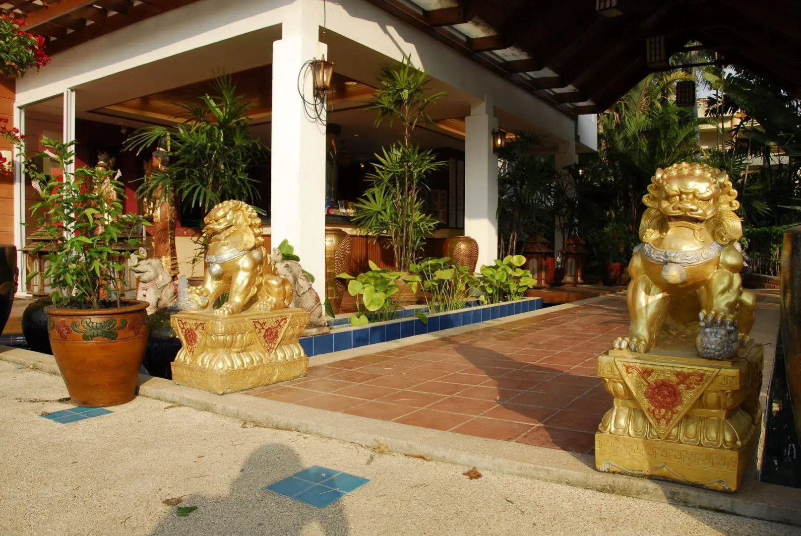 Photo - The Expat Hotel Patong