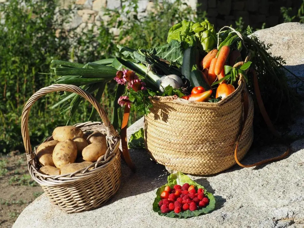 Foto - Les Pardines 1819 Mountain suites & SPA