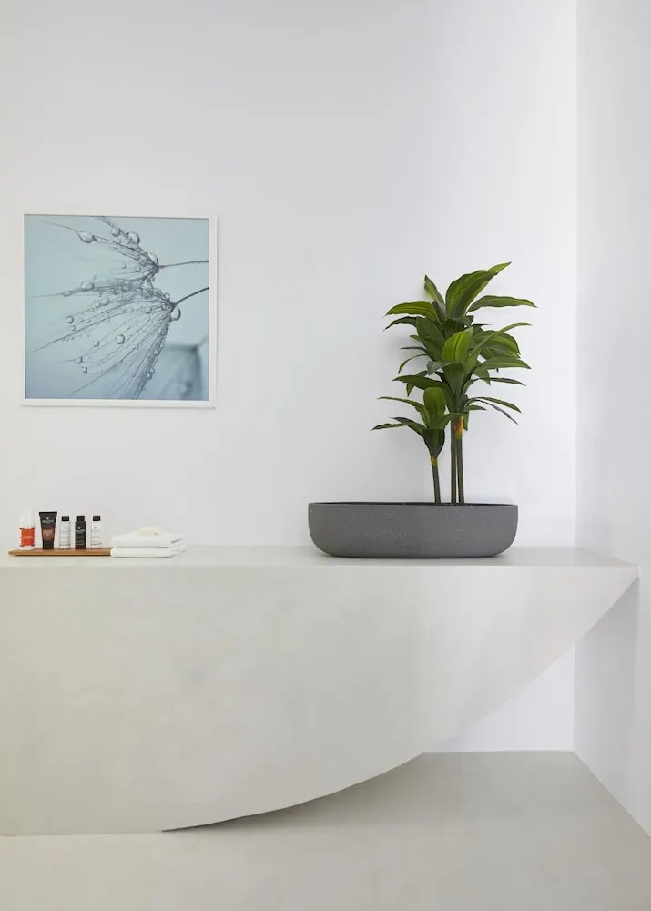 Photo - Le Blanc Nest