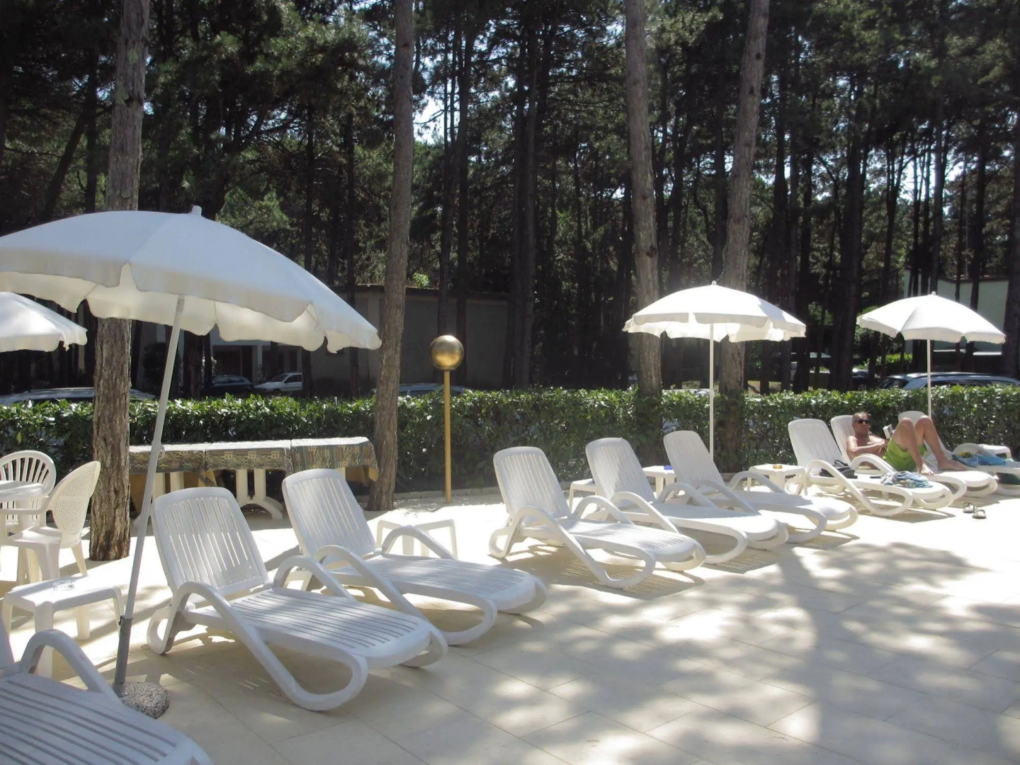 Foto - Hotel Alemagna B&B Lido del Sole Pet Friendly