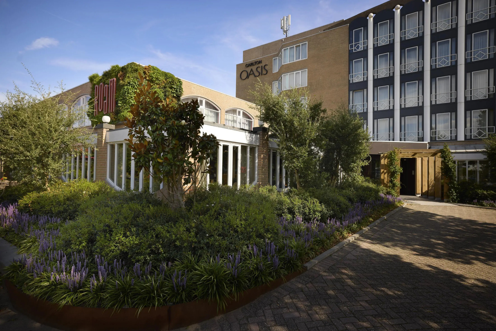 Foto - Carlton Oasis Hotel