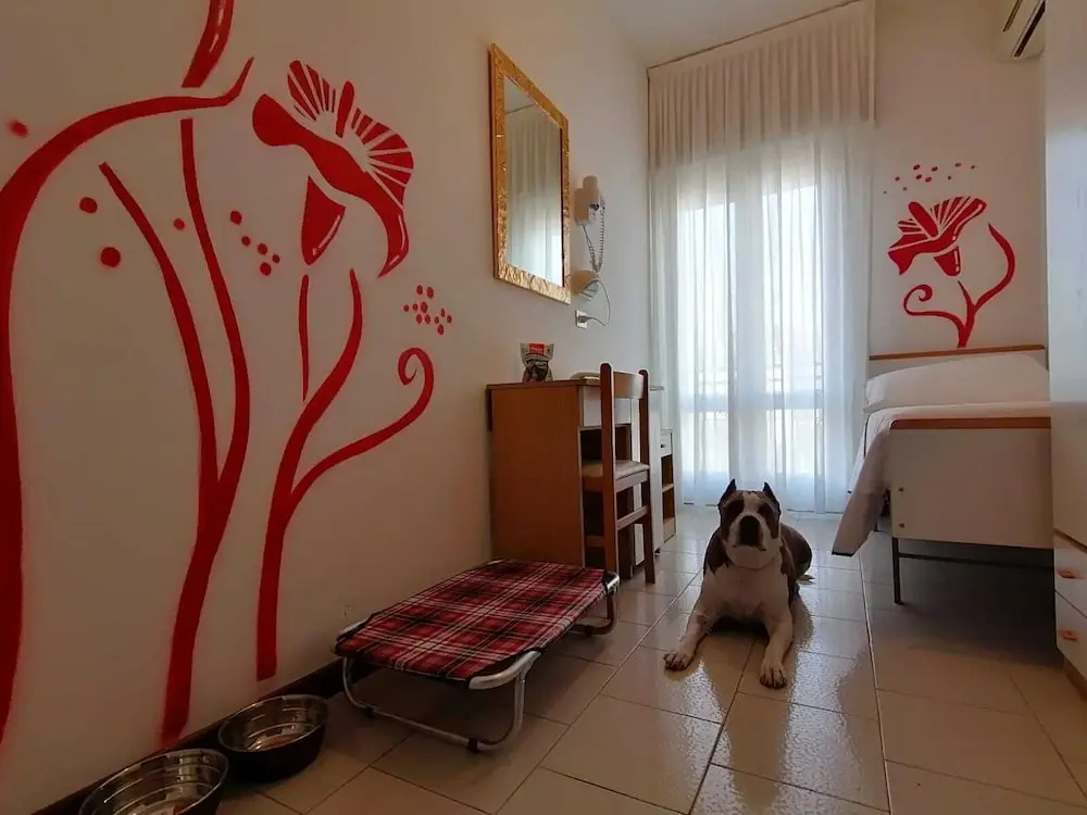 Foto - Kristalex Pet Friends Hotel
