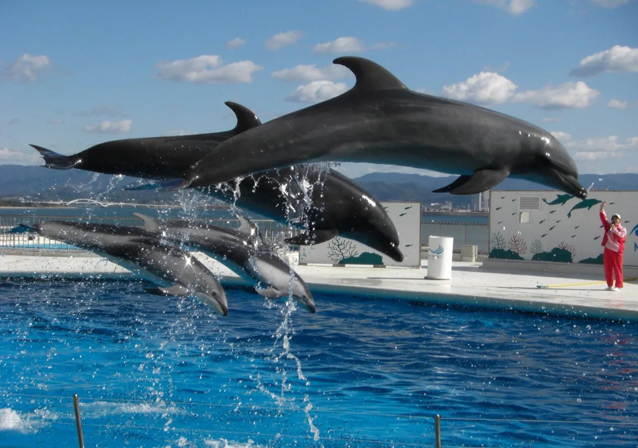 Foto - Dormy Inn Premium Hakata Canal City Mae