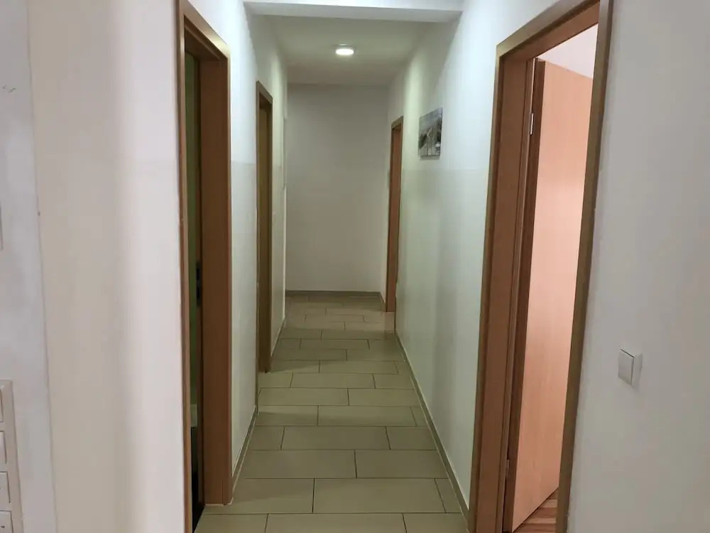 Photo - Sahara Falcon