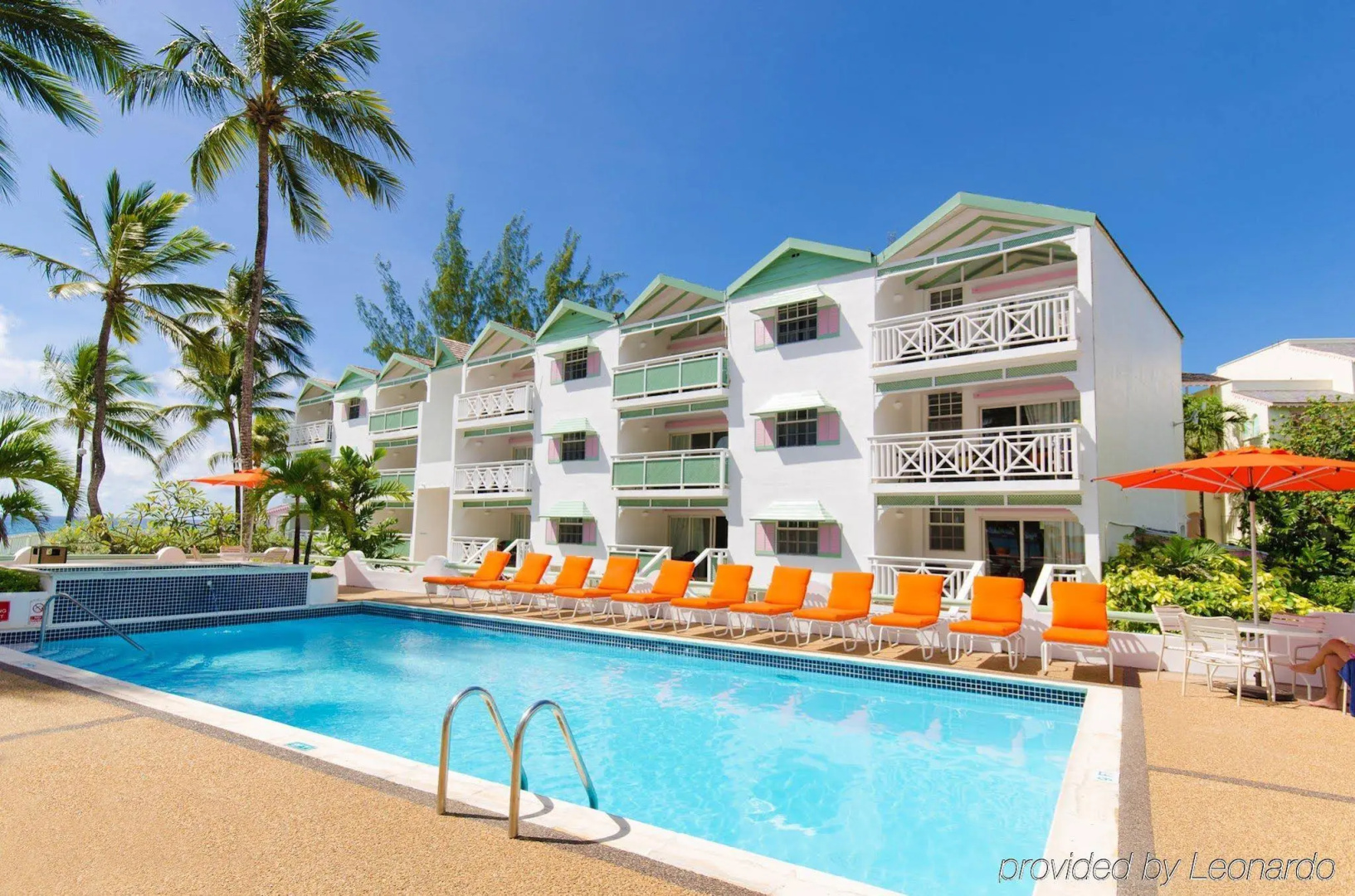 Foto - Bougainvillea Barbados