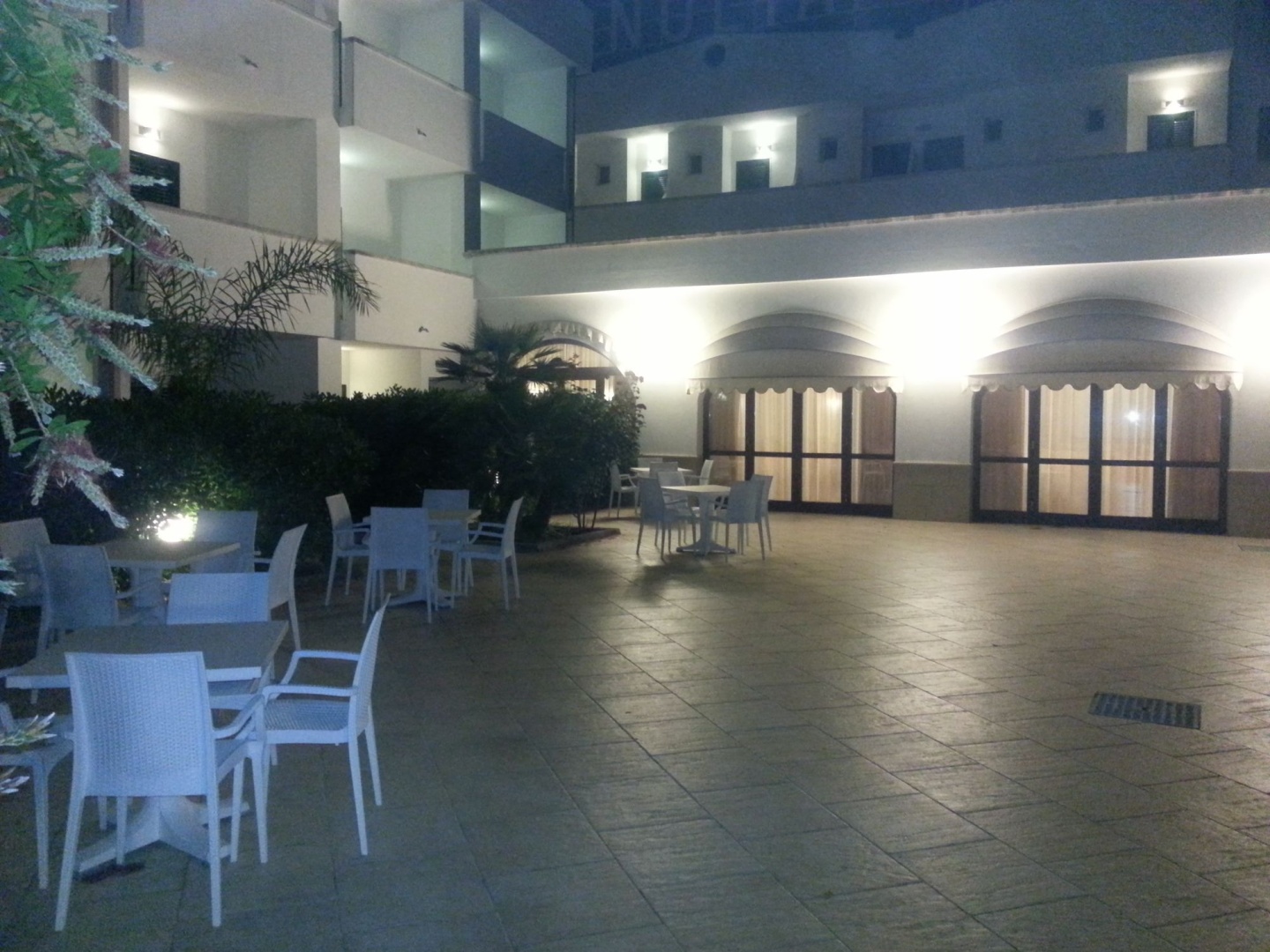 Foto - Hotel Magnolia