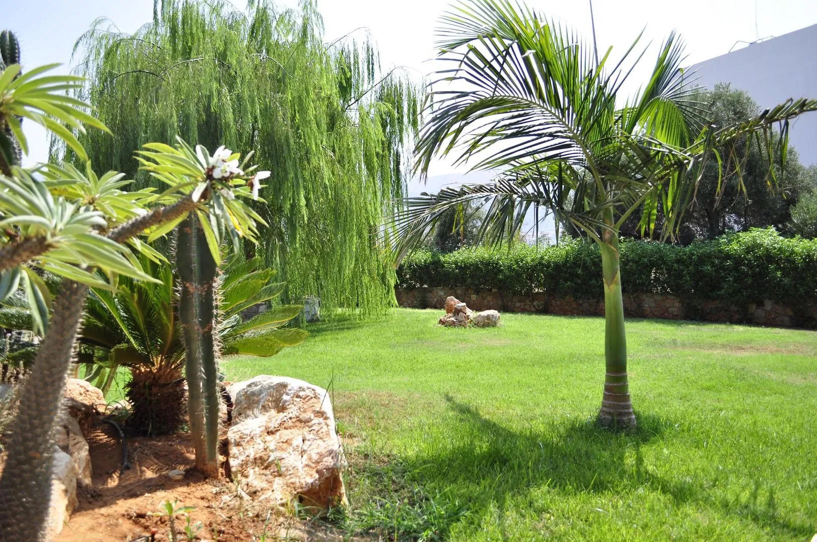 Foto - Sunvillage Malia Boutique Hotel and Suites