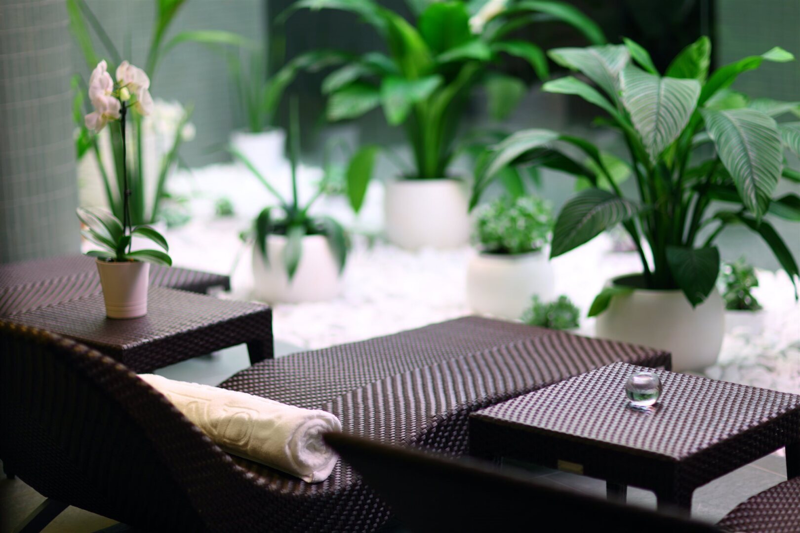 Foto - Hotel Aristos