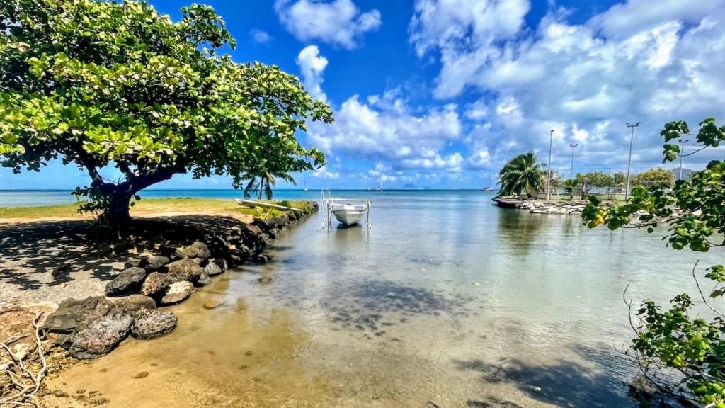 RAIATEA - Bungalow Nautilus Lagoon