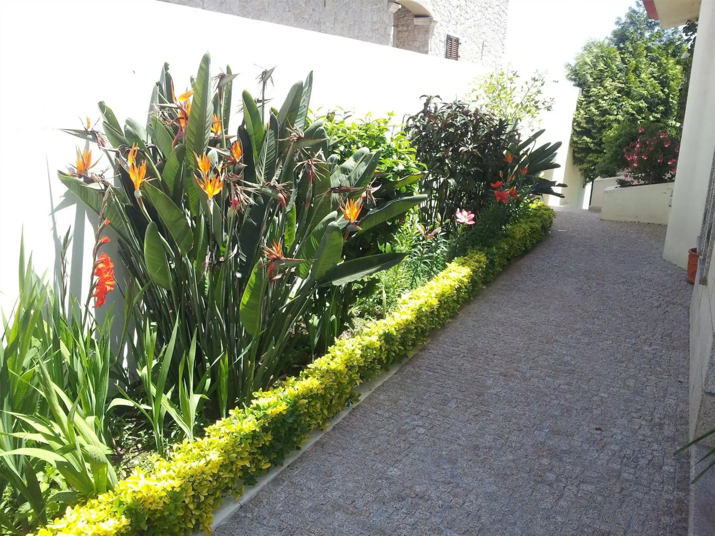 Foto - Villa d'Arcos