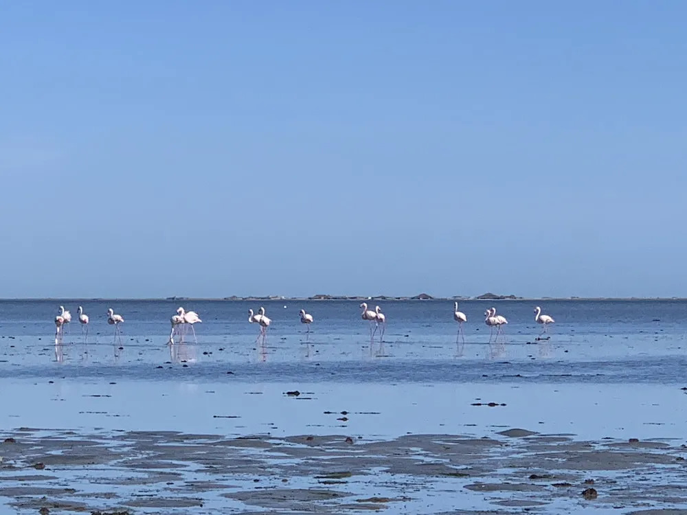 Photo - Dar Lola Djerba