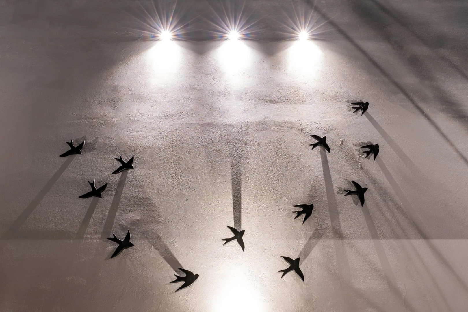 Foto - Wine and Yard Caves